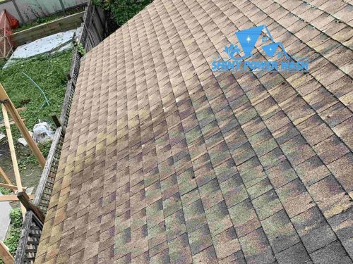 Roof Cleaning and Maintenance – How to Get Your Roof Cleaned Properly?