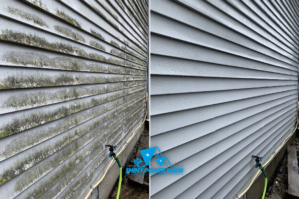 Before / After our Low-Pressure House Wash