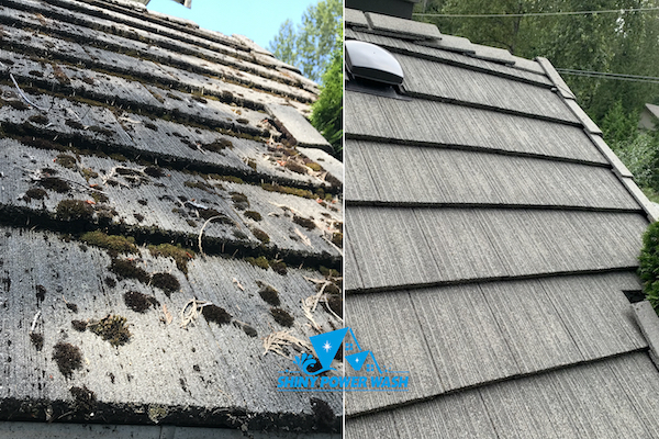 Before / After our Non-Pressure Roof Cleaning