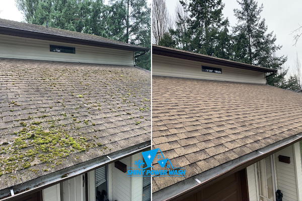Before / After our Non-Pressure Roof Cleaning